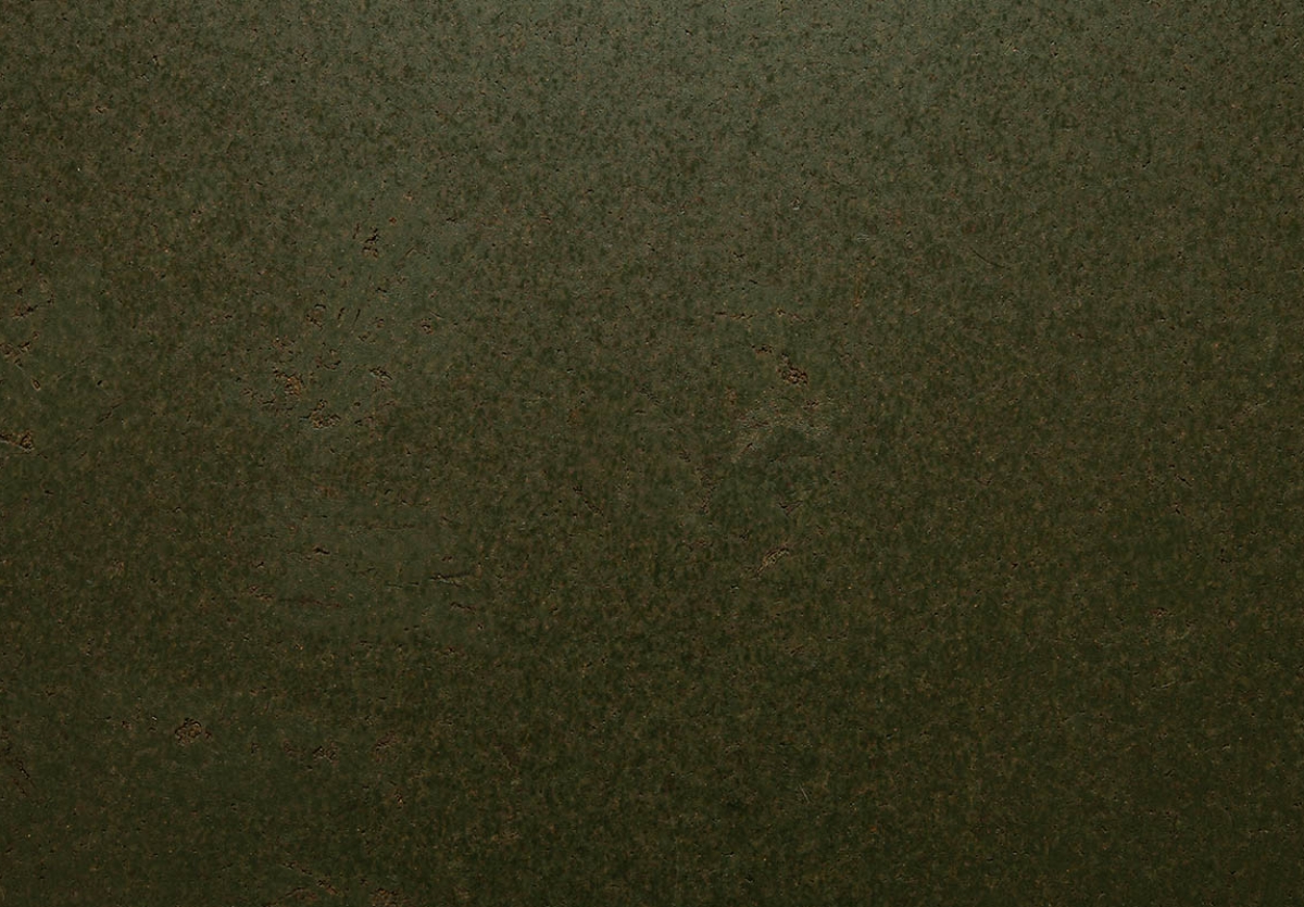 Moss
